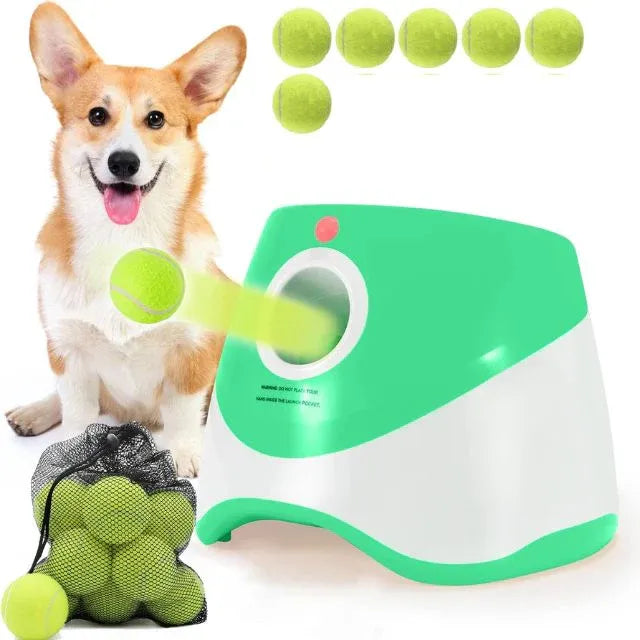 Automatic Dog Ball Launcher 1