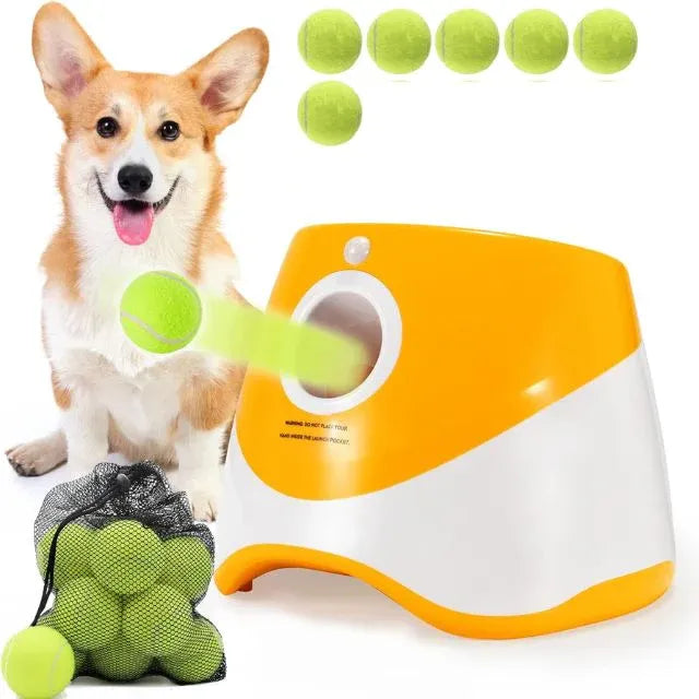 Automatic Dog Ball Launcher 1