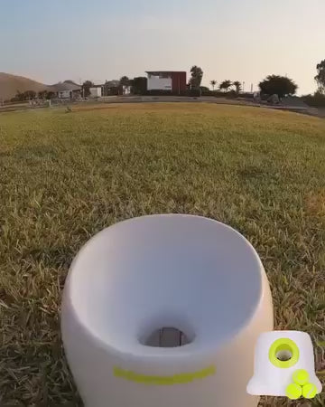 Automatic Dog Ball Launcher 1